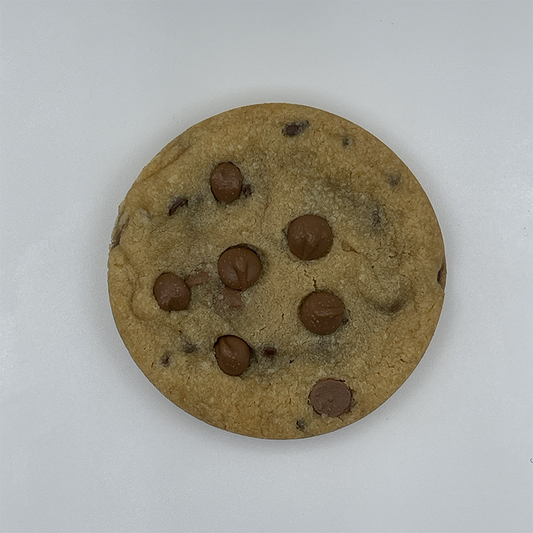 Chocolate Chip